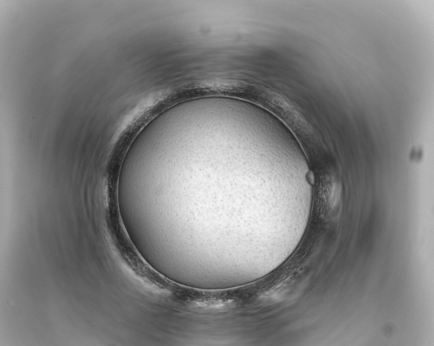 X0000094230734200711021202