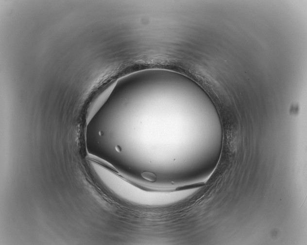 X0000094230735200711021202