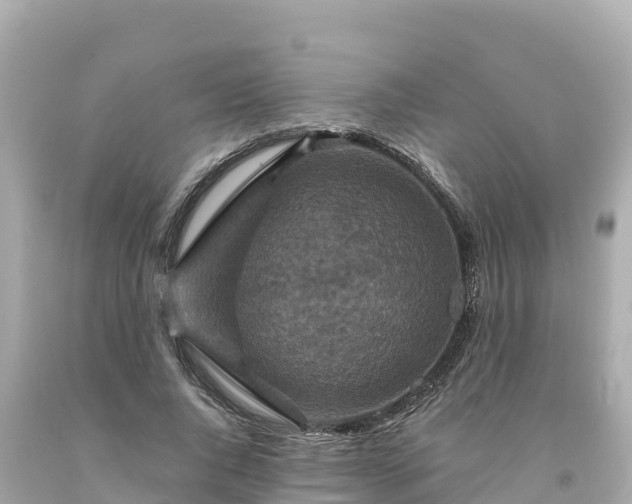 X0000094230736200711021202