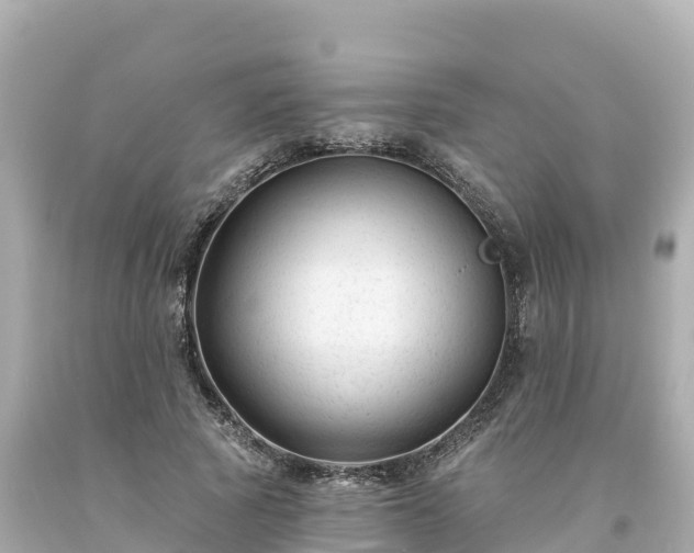 X0000094230737200711021202