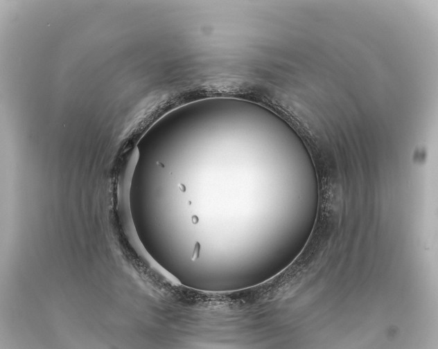 X0000094230738200711021202