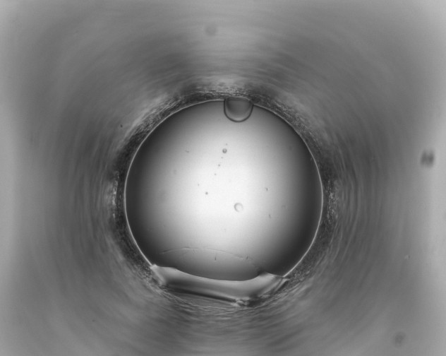 X0000094230739200711021202