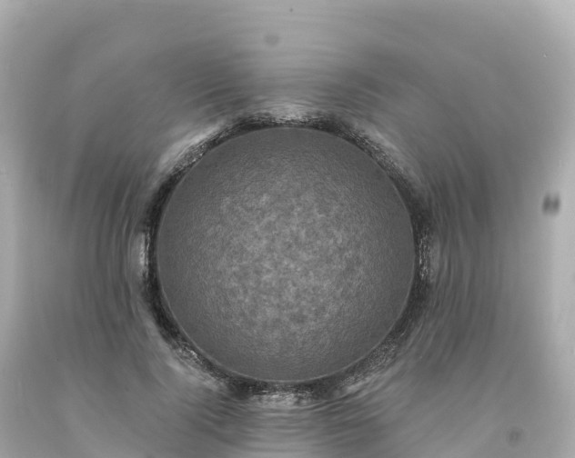 X0000094230740200711021202