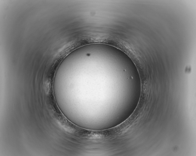 X0000094230741200711021202