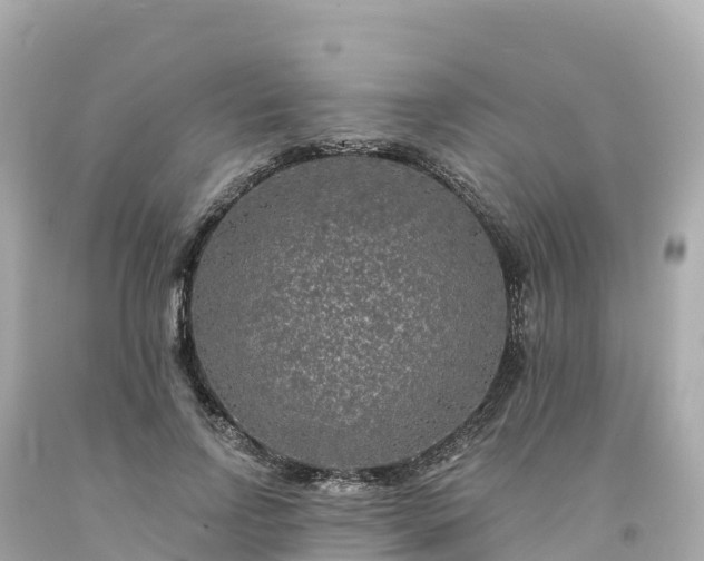 X0000094230742200711021202