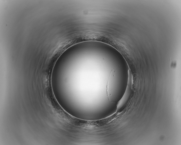 X0000094230743200711021202