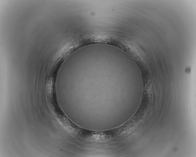 X0000094230744200711021202