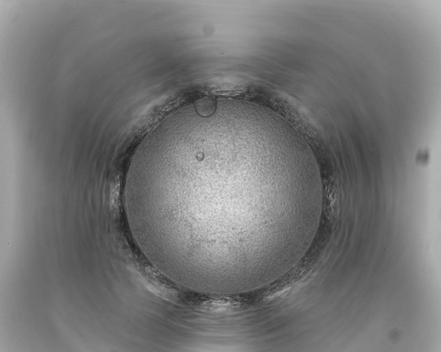 X0000094230745200711021202