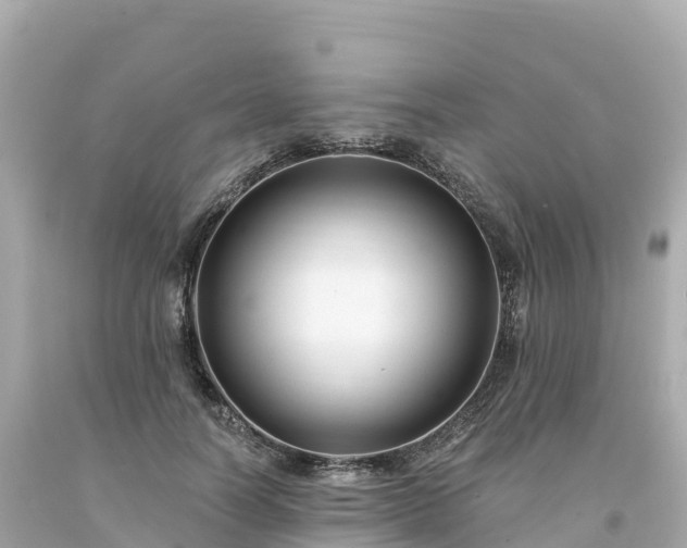 X0000094230746200711021202