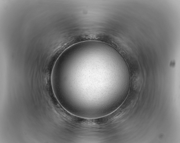 X0000094230747200711021202