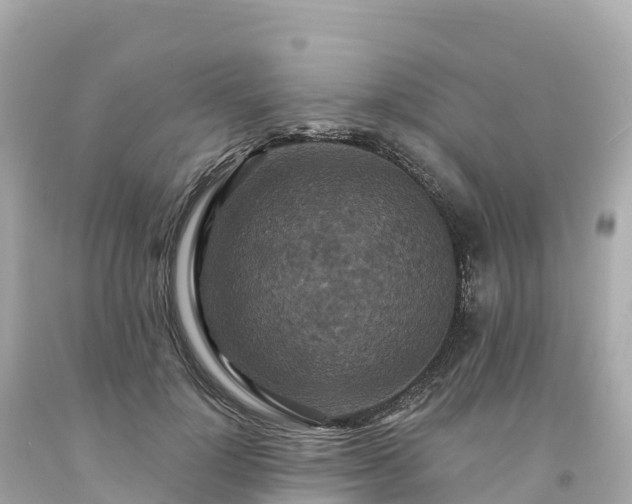 X0000094230748200711021202