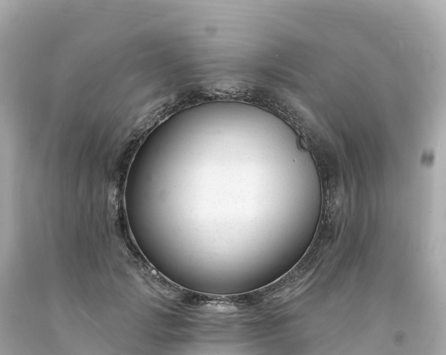 X0000094230749200711021202