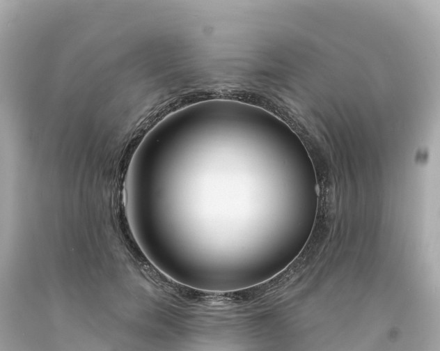 X0000094230750200711021202