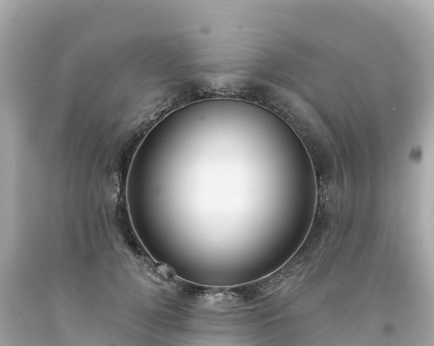 X0000094230752200711021202