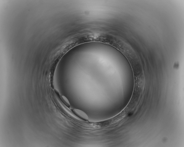 X0000094230754200711021203