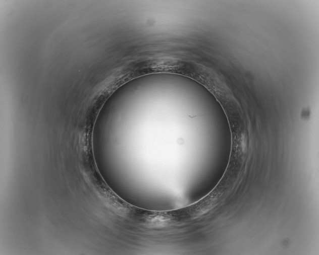 X0000094230755200711021203