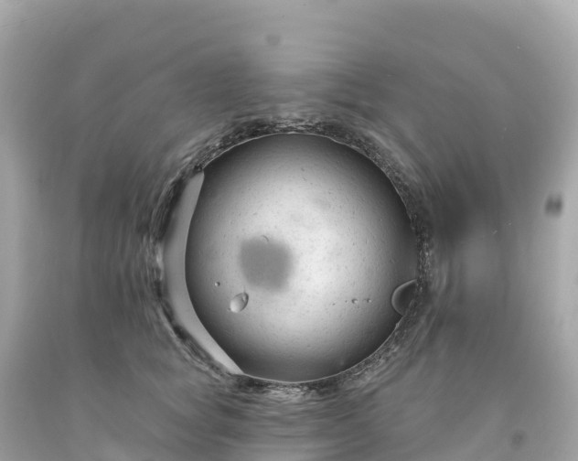 X0000094230757200711021203