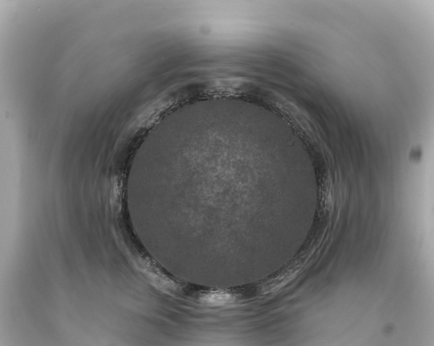 X0000094230759200711021203