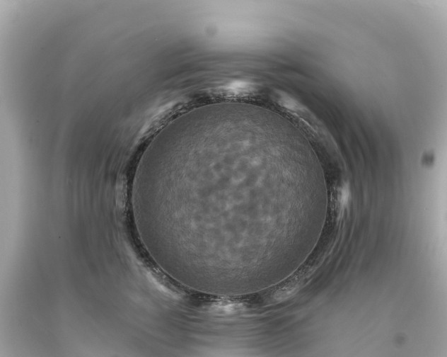 X0000094230760200711021203