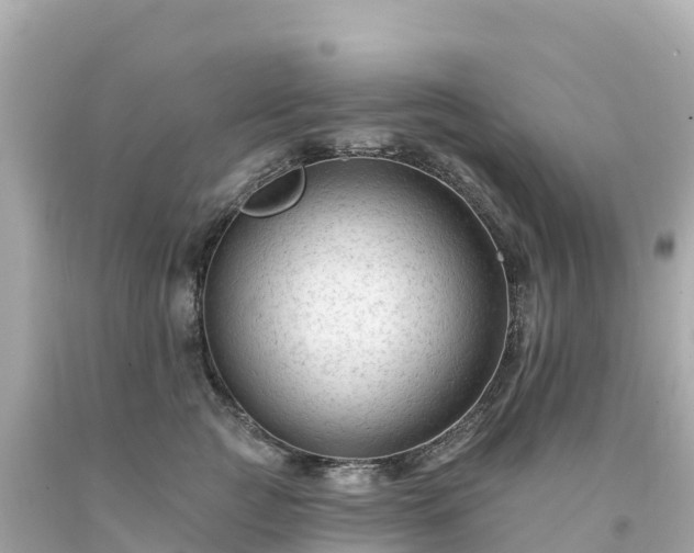 X0000094230761200711021203