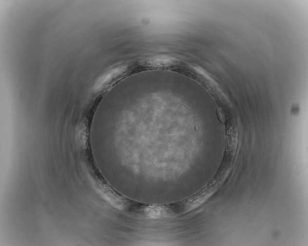 X0000094230762200711021203