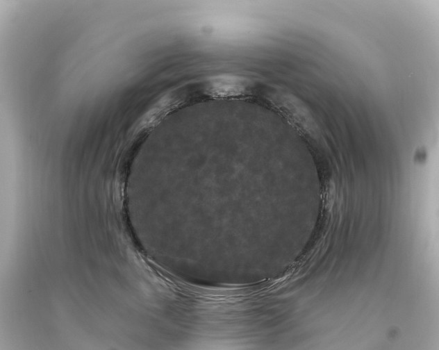 X0000094230763200711021203