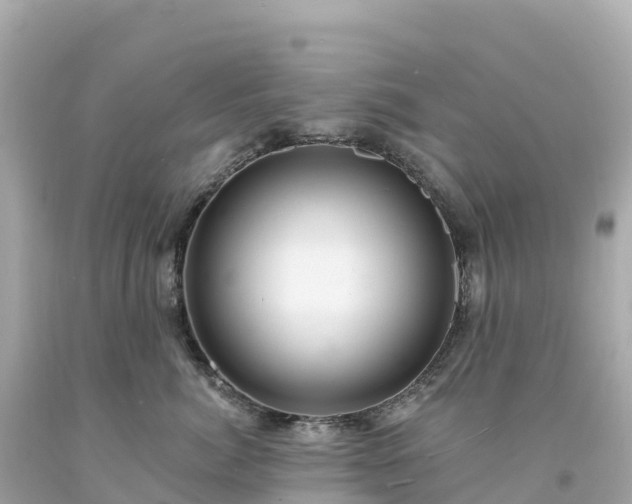 X0000094230764200711021203