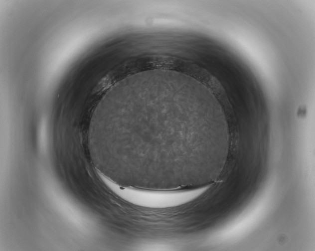 X0000094230765200711021203