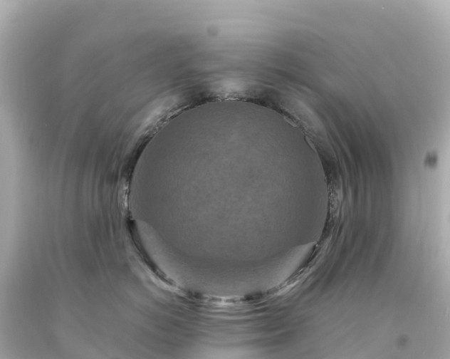 X0000094230766200711021203