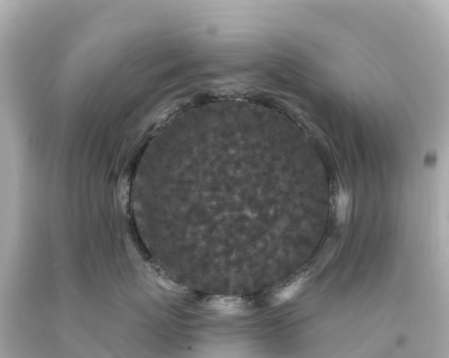 X0000094230767200711021203