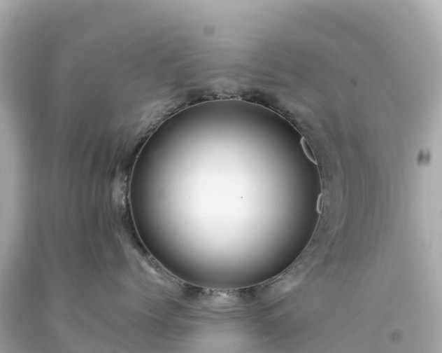 X0000094230768200711021203