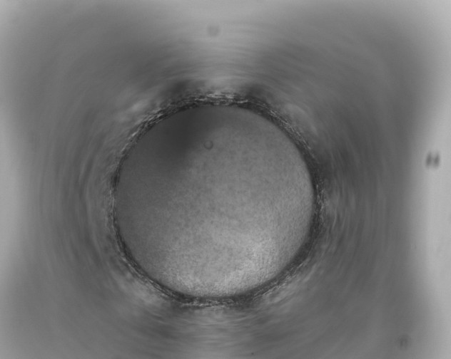 X0000094230769200711021202