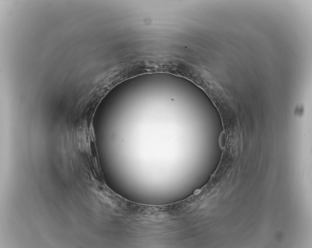 X0000094230770200711021202