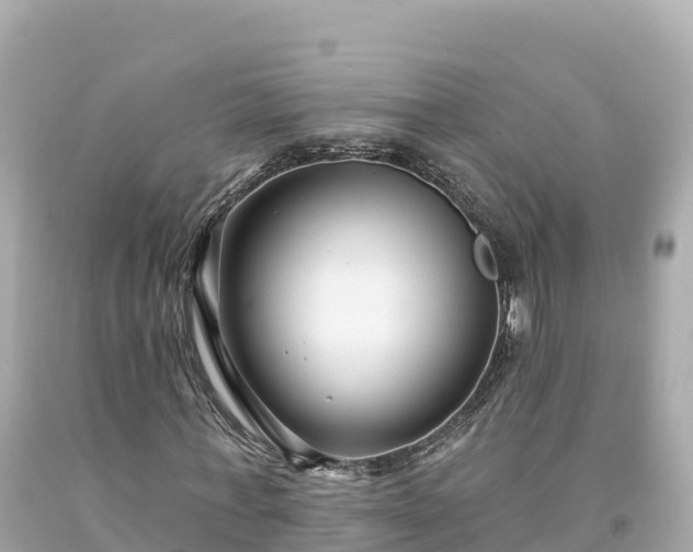 X0000094230771200711021202