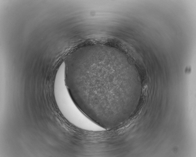 X0000094230772200711021202