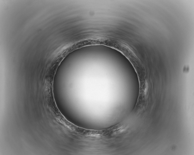 X0000094230773200711021202