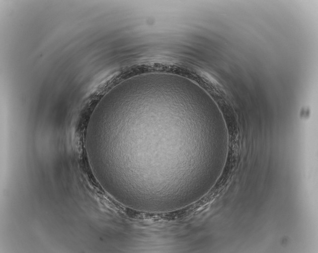 X0000094230774200711021202