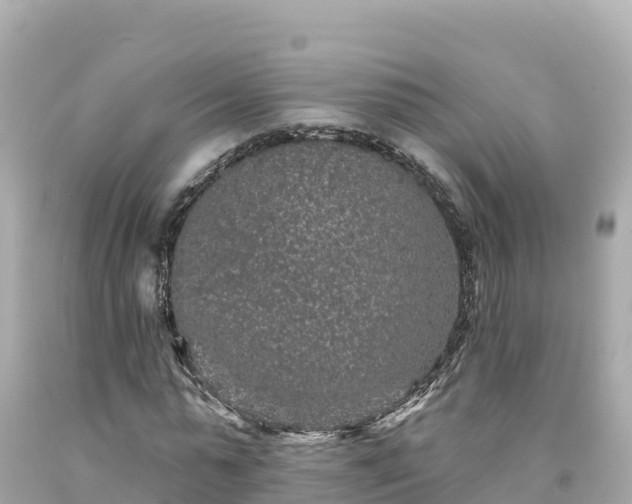 X0000094230775200711021202