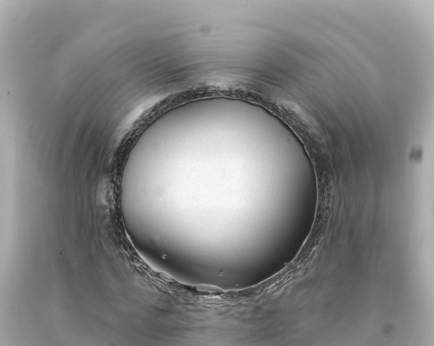 X0000094230776200711021202