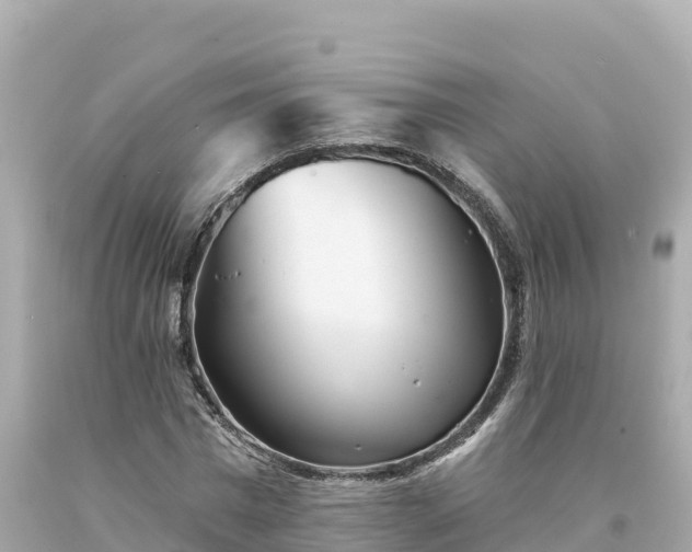 X0000094230777200711021202