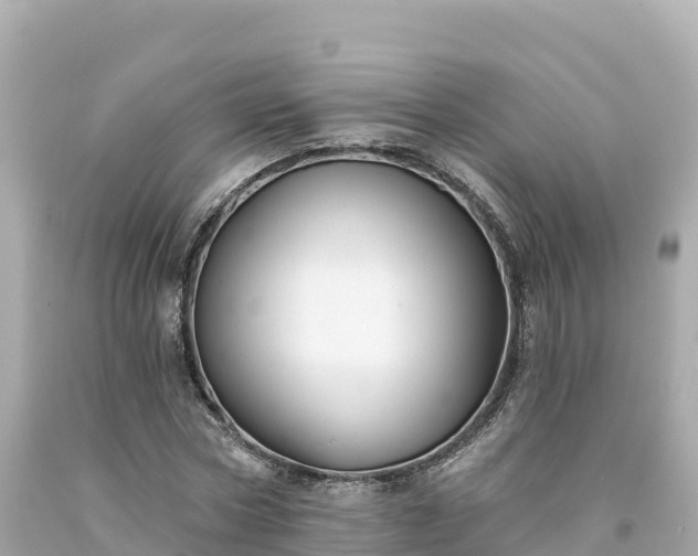 X0000094230778200711021202