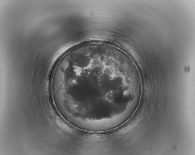 X0000094230779200711021202