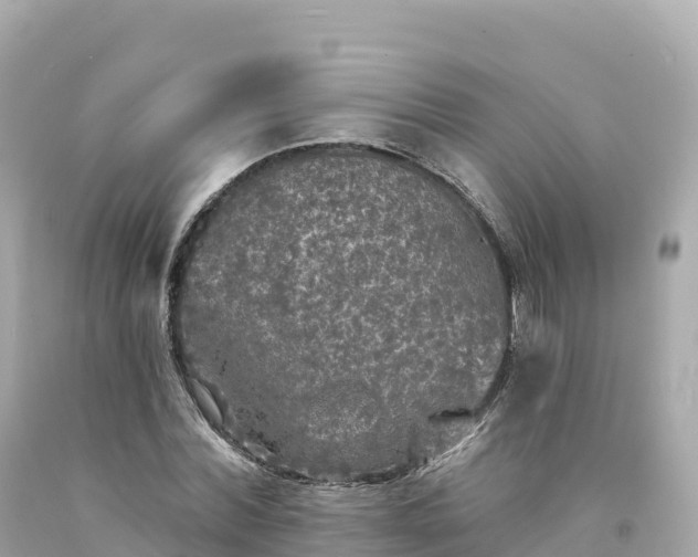 X0000094230780200711021202