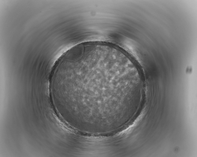 X0000094230781200711021202