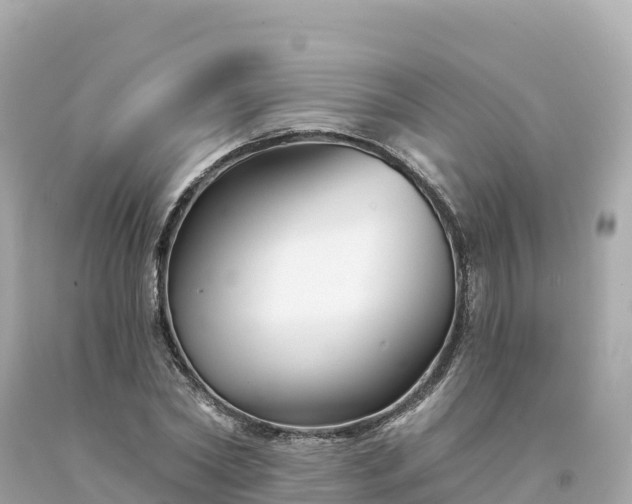 X0000094230782200711021202