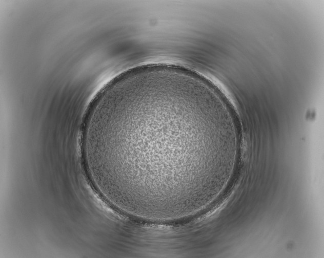 X0000094230783200711021202