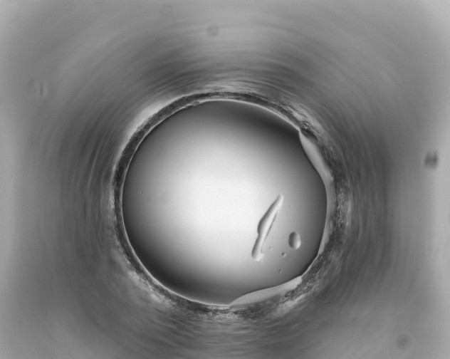 X0000094230784200711021202