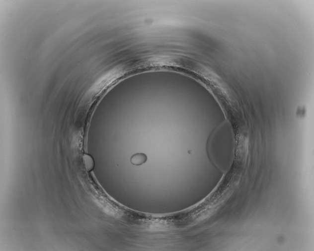 X0000094230785200711021202