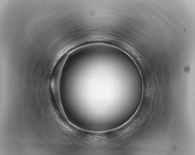 X0000094230786200711021202