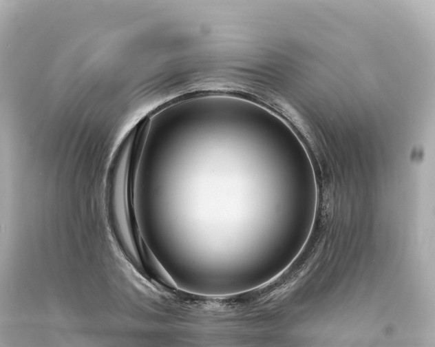 X0000094230787200711021202